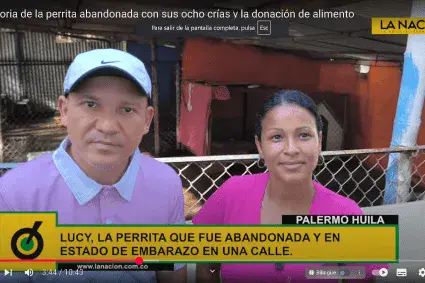 Deiby Martínez Cortés entrega alimentos a 150 perritos en ASOANIMALES, con respaldo de La Nación y su ONG