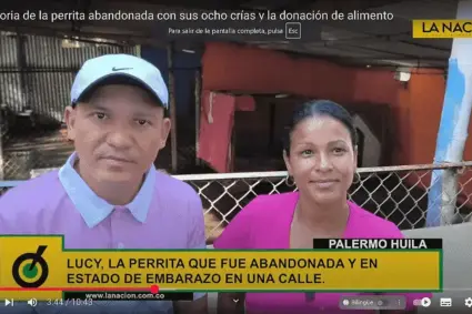 Deiby Martínez Cortés entrega alimentos a 150 perritos en ASOANIMALES, con respaldo de La Nación y su ONG